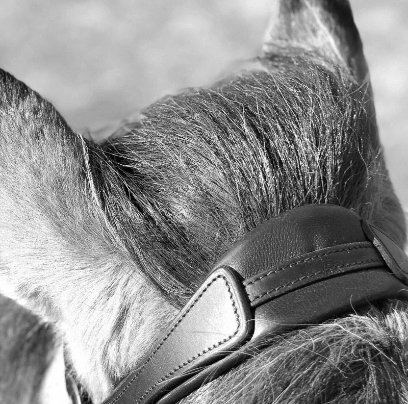 Eques step-by-step Flex nakkereim