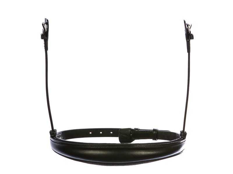 Eques step-by-step Anatomisk Engelsk Nesereim